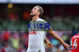 乒乓球台有多少