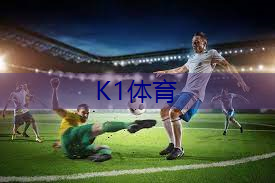乒乓球台子上打排球的叫什么