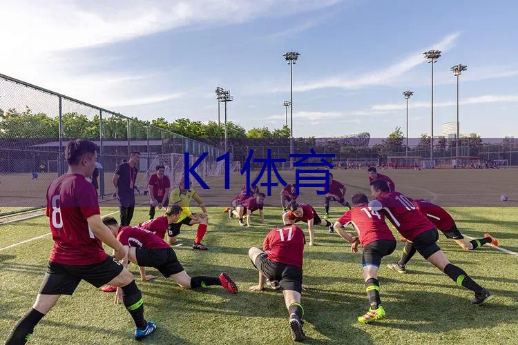 运动与艺术相结合！探索室外体育健身器材场地的审美价值