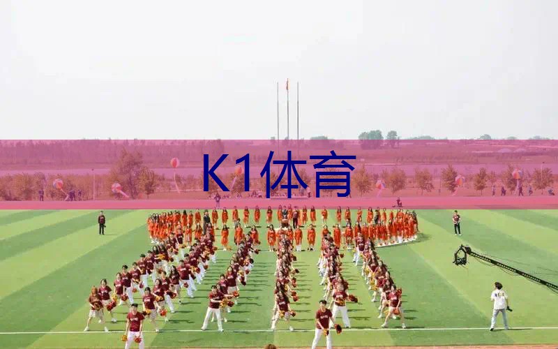 篮球器材健身垫怎么用的