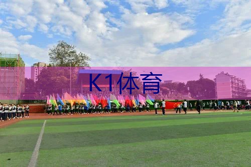 铝合金和全碳素网球拍