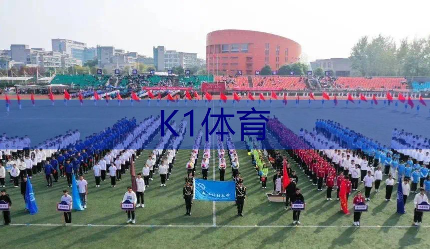 网球拍不同形状的避震器