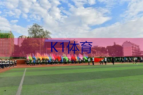 为什么网球拍断线只断竖线