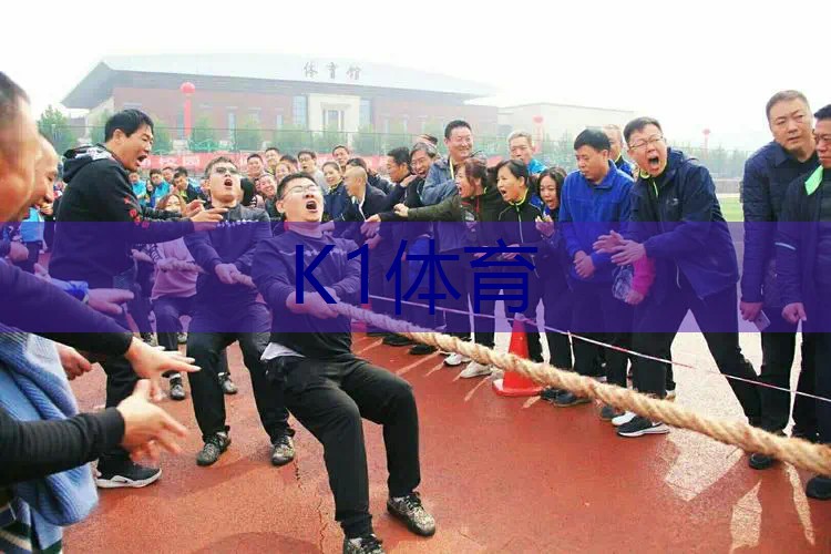 不用捡的网球拍叫什么