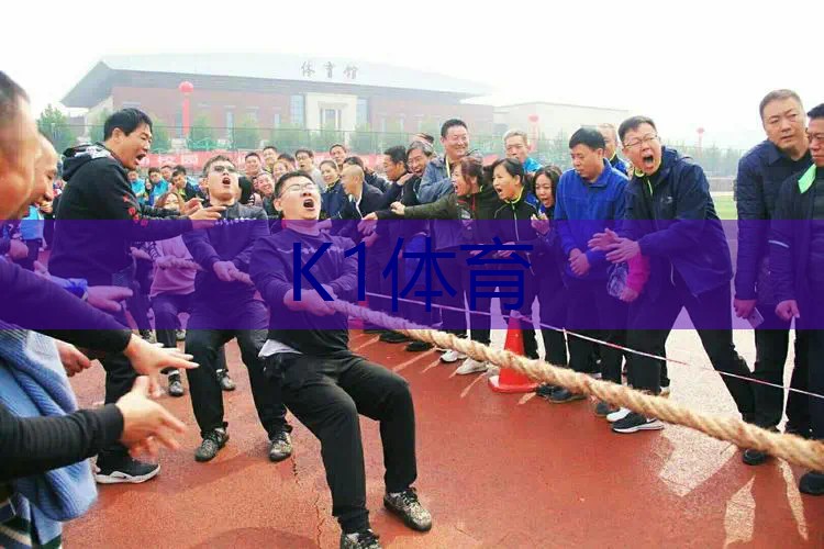 回弹网球拍的作用是怎样的