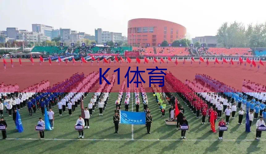 网球拍软拍和硬派的威力
