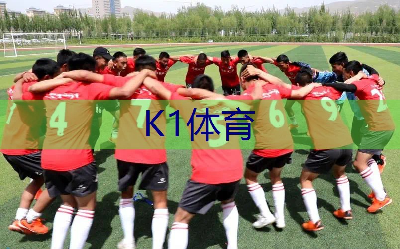 网球拍落灰原因分析论文