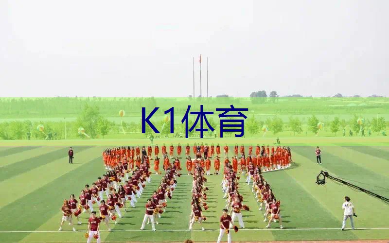 智学网球拍测评结果查询