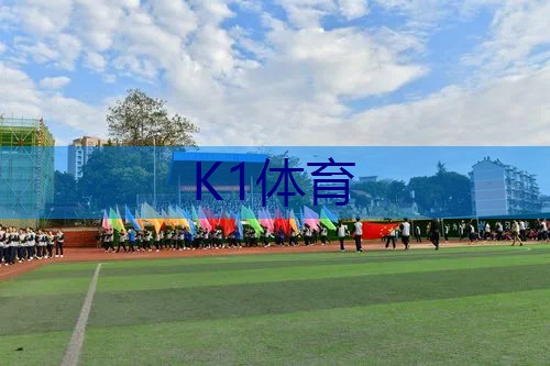 百宝力网球拍250克