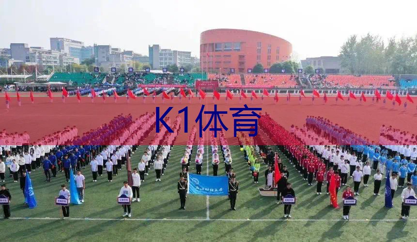 网球拍材质什么合适用新手