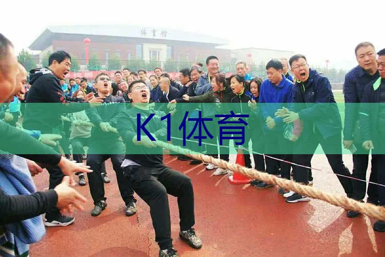 旧款百保力网球拍