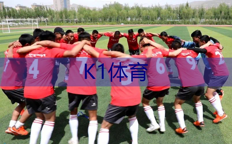 什么材质网球拍耐用又好用