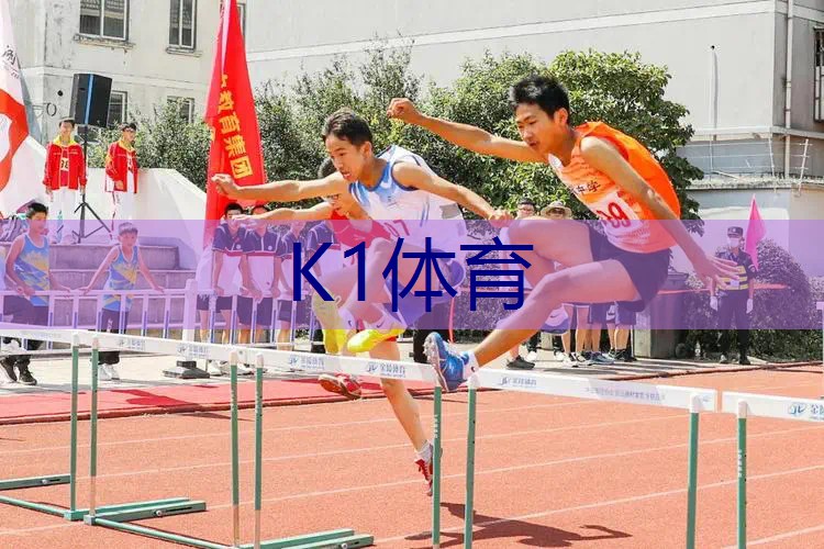 沙滩网球拍是什么材质的
