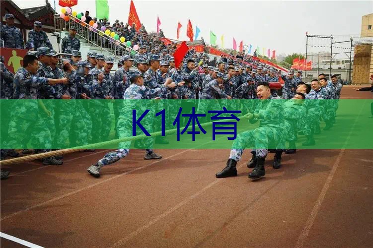 低价好用的网球拍有哪些