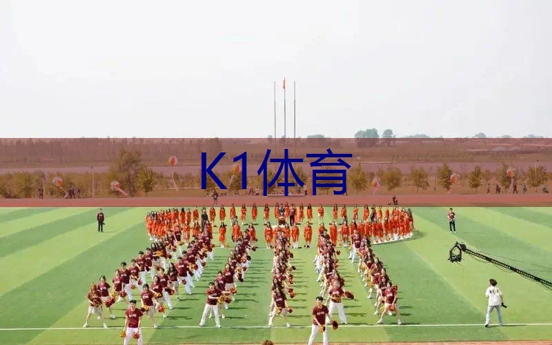 网球拍弦有哪几种