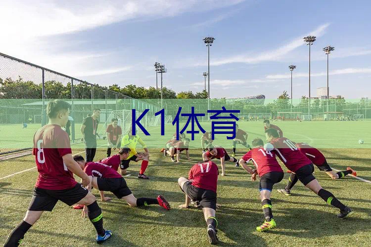 尤尼克斯网球拍个版本